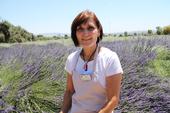 Lavender grower Carol Hamre spoke about her trials and successes regarding vertebrate pest control and drip irrigation.