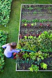 Gardens provide many benefits to individuals, families and communities.