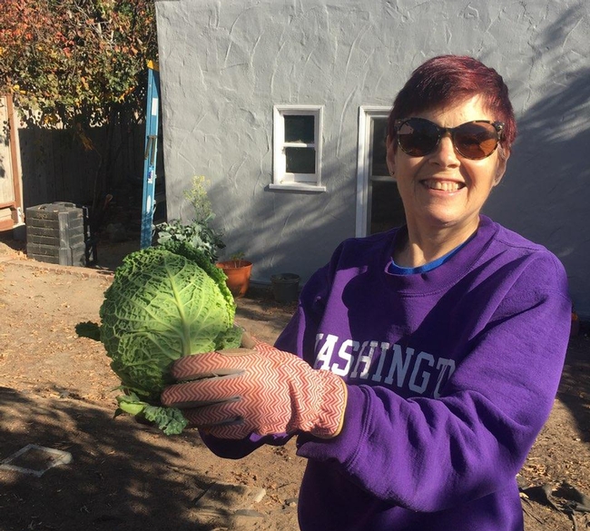 Elaine Silver, wearing sunglasses and a purple sweatshirt with Washington printed in white, holds up a green head of cabbage.