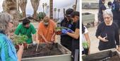 Left, Torres Martinez Desert Cahuilla Indian Tribe members plant vegetables in the A’Avutem (Elders) Garden. Right, Chutima Ganthavorn observes the planting.