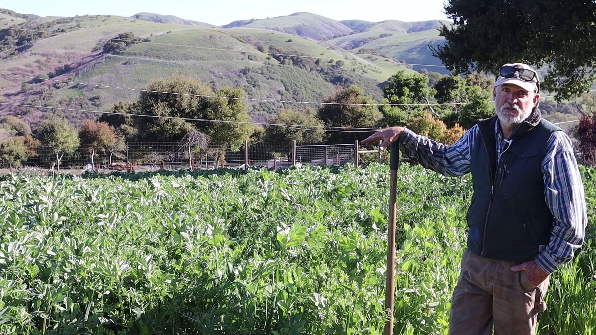 Gotham Greens opens a 10-acre farm/research facility in California