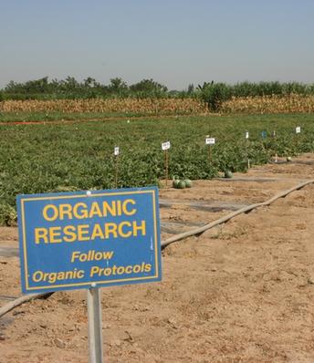 Free weekly organic agriculture seminars for growers