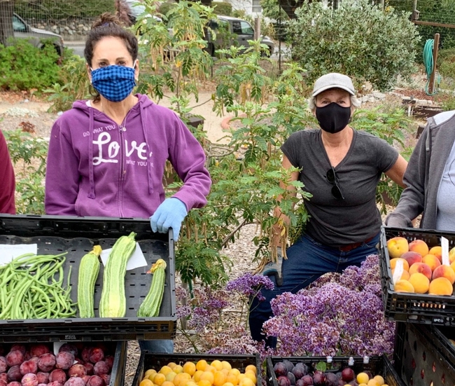 Two women wearing facemasks stand in a garden behind trays of long green beans, bittermelon, plums, peaches and other fresh produce.