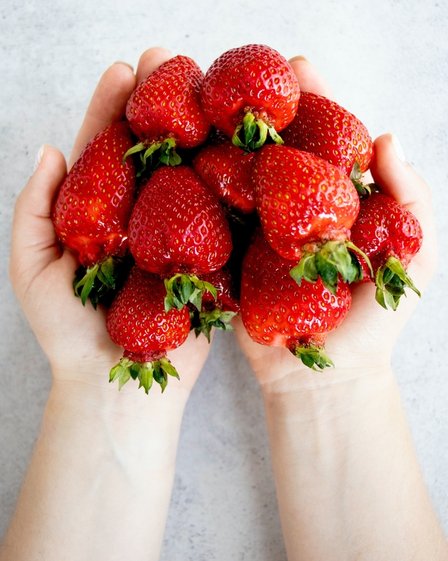 Two hands hold a bunch of strawberries
