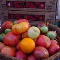 Heirloom tomato cultivars - which can be found in a wide variety of colors, shapes, flavors and sizes - may not be practical for commercial production, but add interest to home gardens.