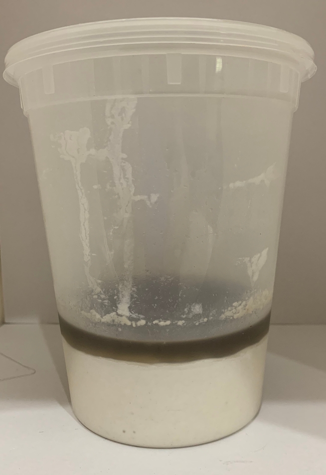 Old starter with dark liquid separated on top