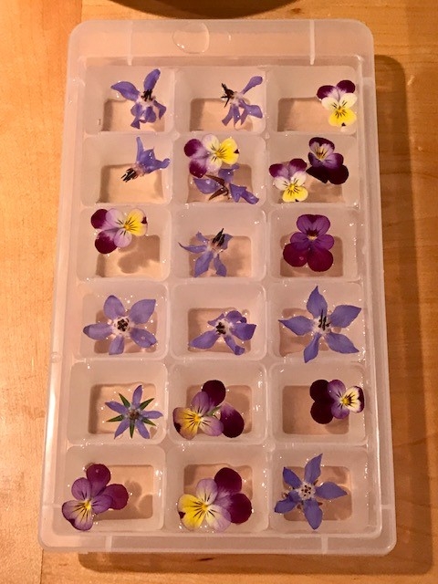 Ice Cube Tray Fresh Flowers in Water