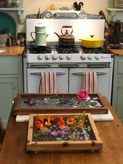 Kitchen Trays of Flowers(2)