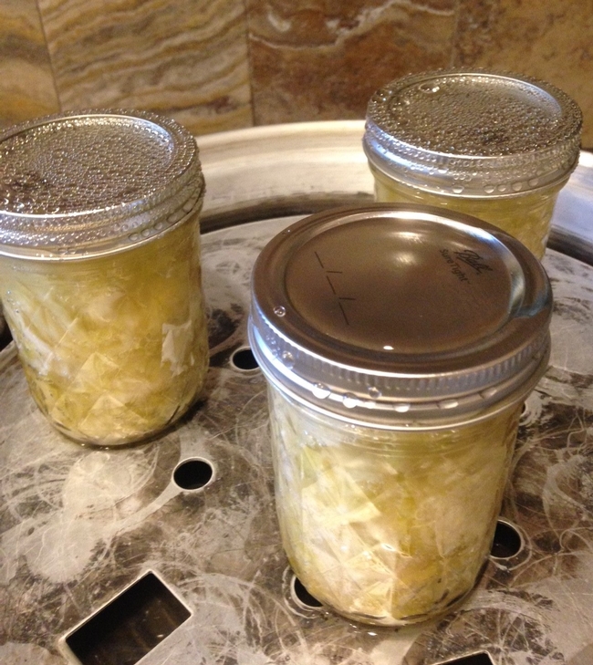 Canning Complete(1)