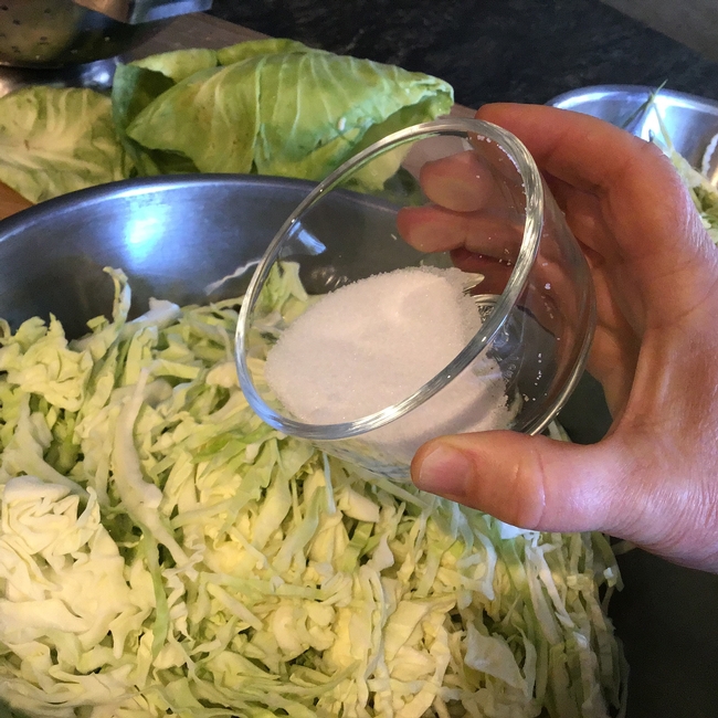 Salting Cabbage