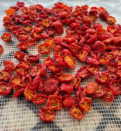 A tray of small red dehydrated tomatoes