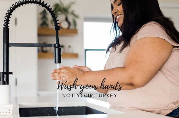 Woman with a pink shirt and long dark hair is washing her hands at a sink. Banner reads wash your hand not your turkey.