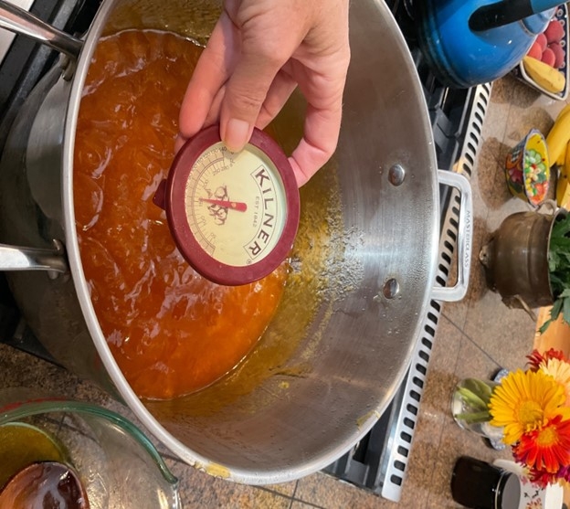 Food thermometer in Jam