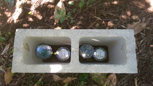Tensiometers in a cinderblock for protection in citrus orchard.