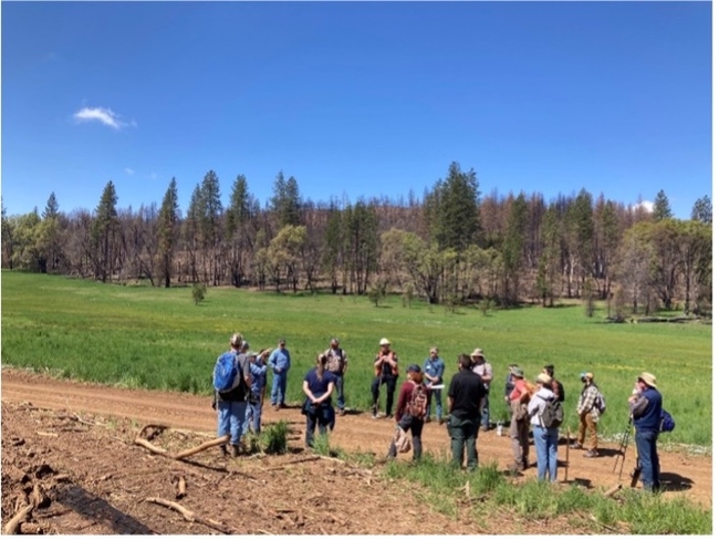 Oak Fire workshop participants gather during a field day. Photo credit: Katie Reidy.