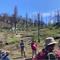 A landowner discusses the challenges of rebuilding post-Creek Fire. Photo credit: Katie Reidy.