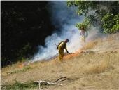 Ignition of a prescribed burn in Humboldt County to reduce conifer encroachment into a natural prairie (Y. Valachovic photo).