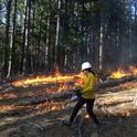 Lighting a prescribed fire. Photo courtesy of Susie Kocher, UC ANR