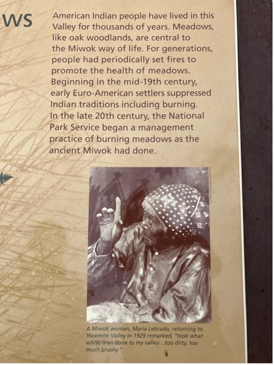 Plaque from Yosemite National Forest explaining Miwok tribe management practices. Photo credit: Drew Nelson