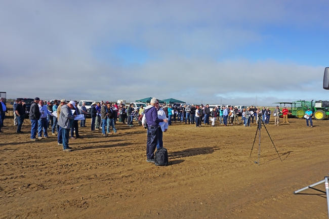 Nearly 200 pest control advisors, farmers and allied industry representatives attended the UCCE Strawberry Field Day in May.
