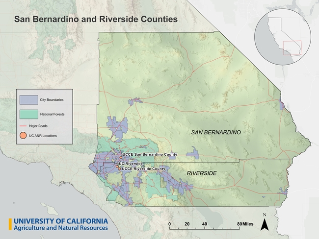 San Bernardino and Riverside counties