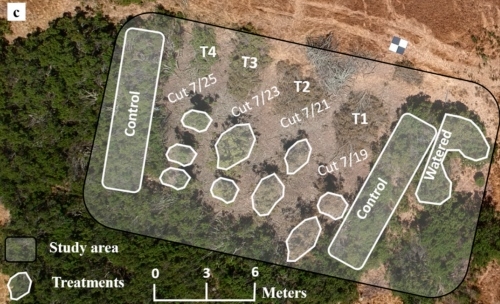 Experimental plots to test the sensitivity of drone data to plant water content. Easterday et al 2019