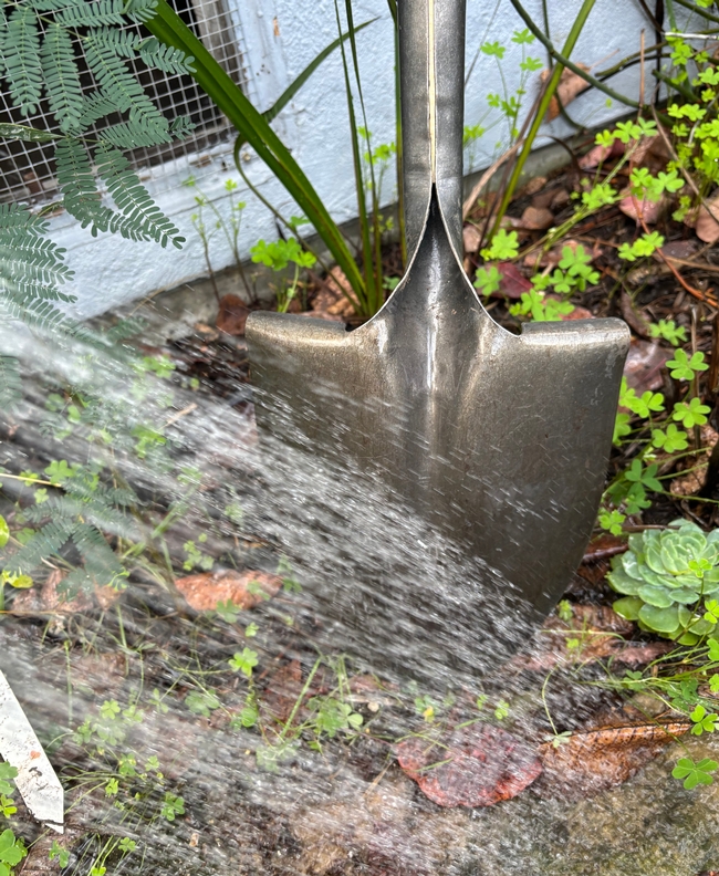 Hose off your garden equipment immediate after use.