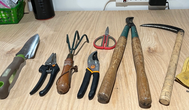 A variety of garden hand tools