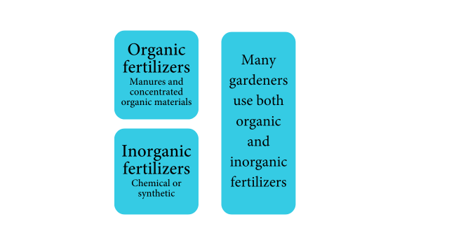 Is it time to fertilize?  Will you use organic or inorganic fertilizers?