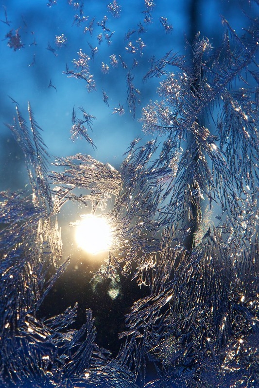 Frost Work by DrTH80 is licensed under CC BY 2.0.