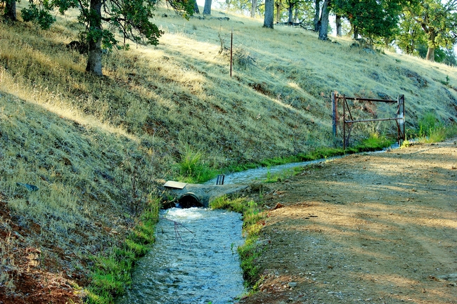 Irrigation water is received through canals and pipelines from the BVID.