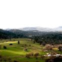 The Future of Farming and Ranching in the Sierra Foothills Forum - Feb. 22nd
