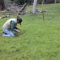 SFREC’s Beef Cattle Research Assistant, Clint Tipton collects forage production samples.