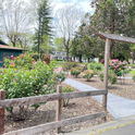 Rose Garden Corral - May 2024