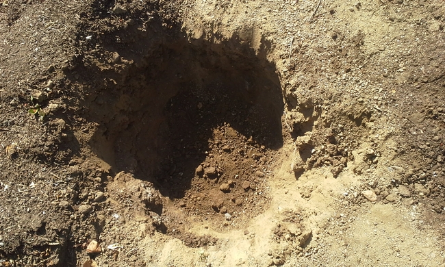 hole 2 ft deep x 3 feet wide