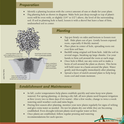 Shrub planting instructions-UC Davis Arboretum