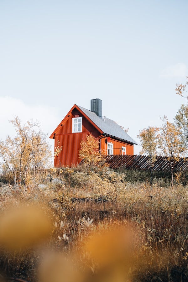free-photo-of-trees-and-bushes-around-wooden-house PEXELS