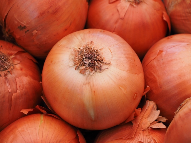 vegetable-onion-499083 1280 Pixabay