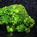 broccoli-2182846 1280 Pixabay