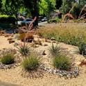 photo 1  dry garden at Las Flores Learning Garden- photo by author