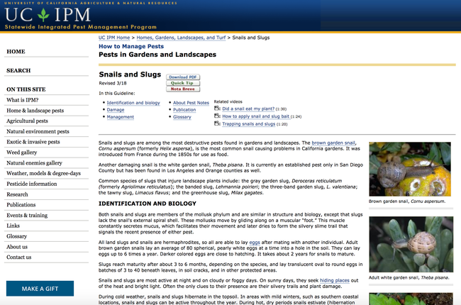 UC IPM Pest Note on Snails and Slugs.  http://ipm.ucanr.edu/PMG/PESTNOTES/pn7427.html
