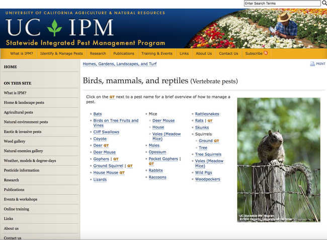 UC IPM on Vertebrate Pests.  If the following link does not take you to the UC IPM page, copy and paste it in your browser.  Or just type UC IPM VERTEBRATE PESTS and you'll get there.  http://ipm.ucanr.edu/PMG/menu.vertebrate.html