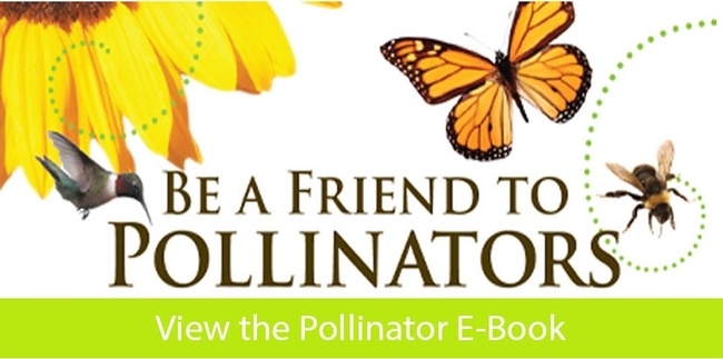 Plant for pollinators (NRCS-USDA)