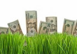 Keep that cash for grass  in mind. (Town of Yountville)