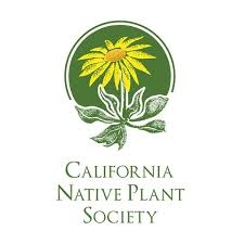 Consult CNPS for more natives to plant in your garden (bbldwp.com)