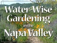 Check out this water wise gardening information from the City of Napa. http://www.napa.watersavingplants.com/  (cityofnapa)