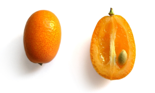 Kumquat; it is really little (UC ANR)
