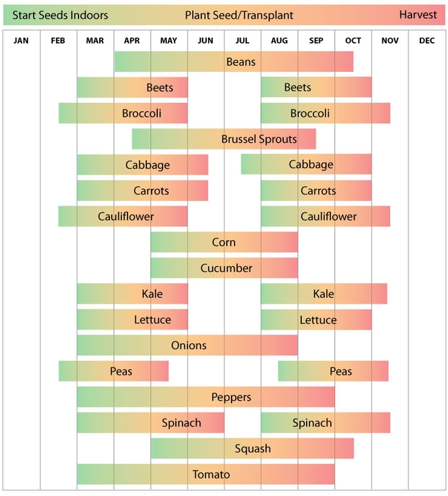 Vegetable Planning Calendar.  (Urban Farmer)