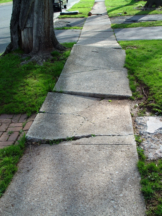 Roots and sidewalks don't mix. (georgeweigel.net)