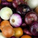 Colors of onion. (medicalnewstoday.com)
